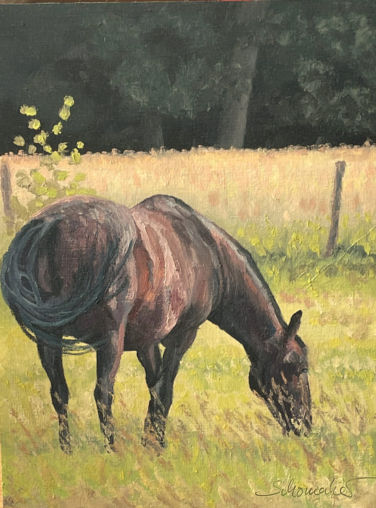 oilpainting horse hanoverian in pasture original