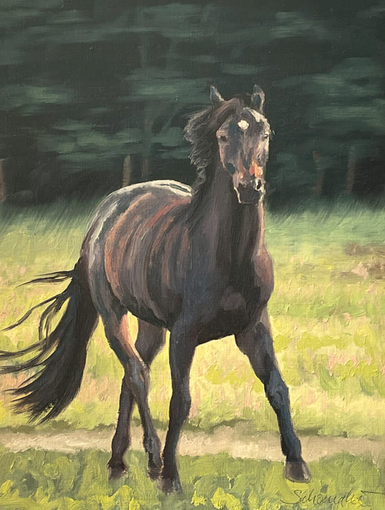 Hanoverian in the pasture oilpainting horse