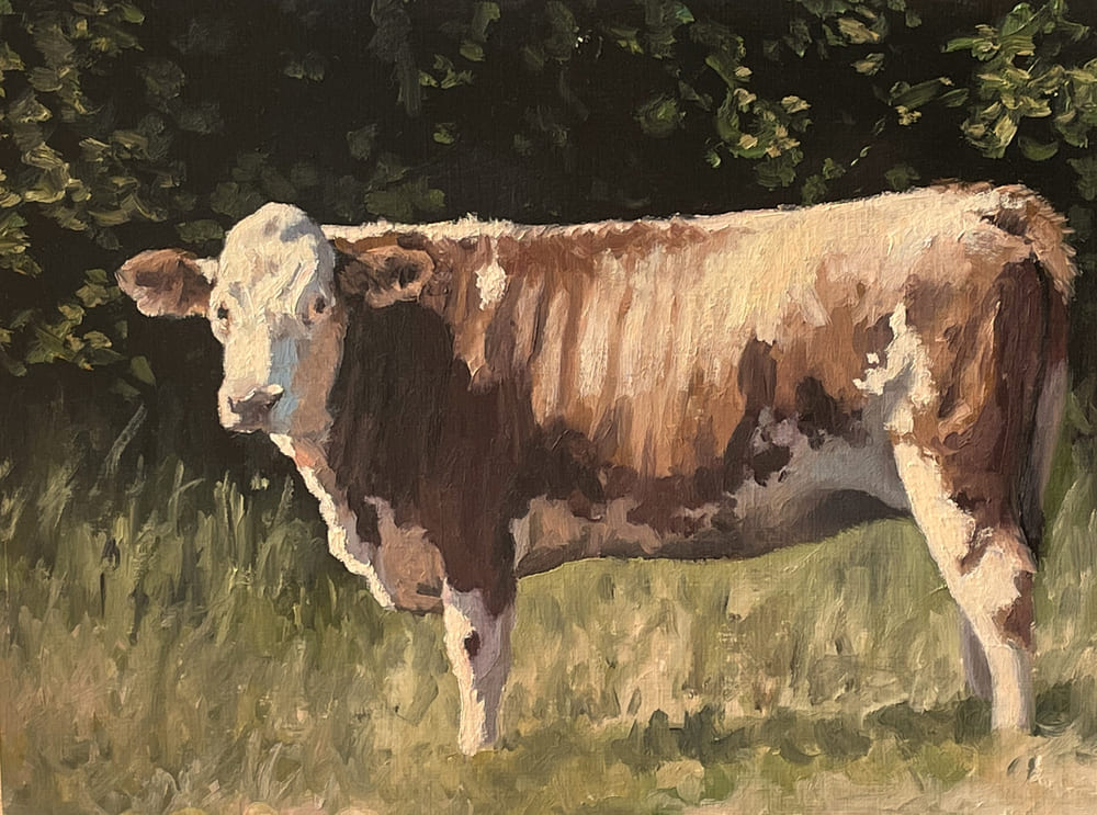 oilpainting cattle art
